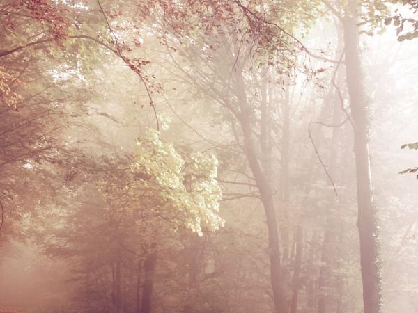 Bild Alttagl Titel Immobilie I